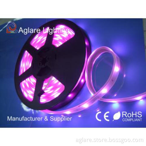 Chasing Falling Snow Tube Light